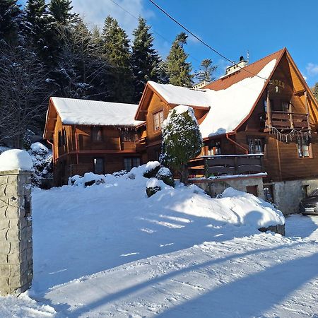 Dom Goscinny Dudek Krynica Zdroj Luaran gambar