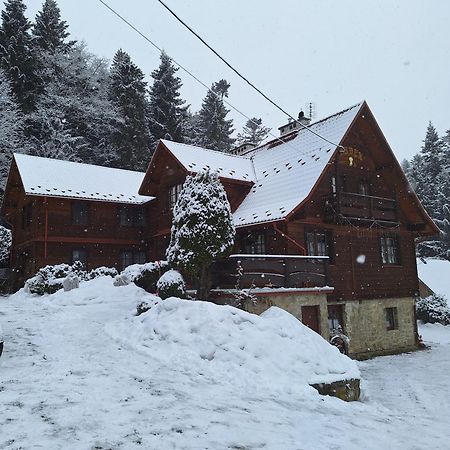 Dom Goscinny Dudek Krynica Zdroj Luaran gambar