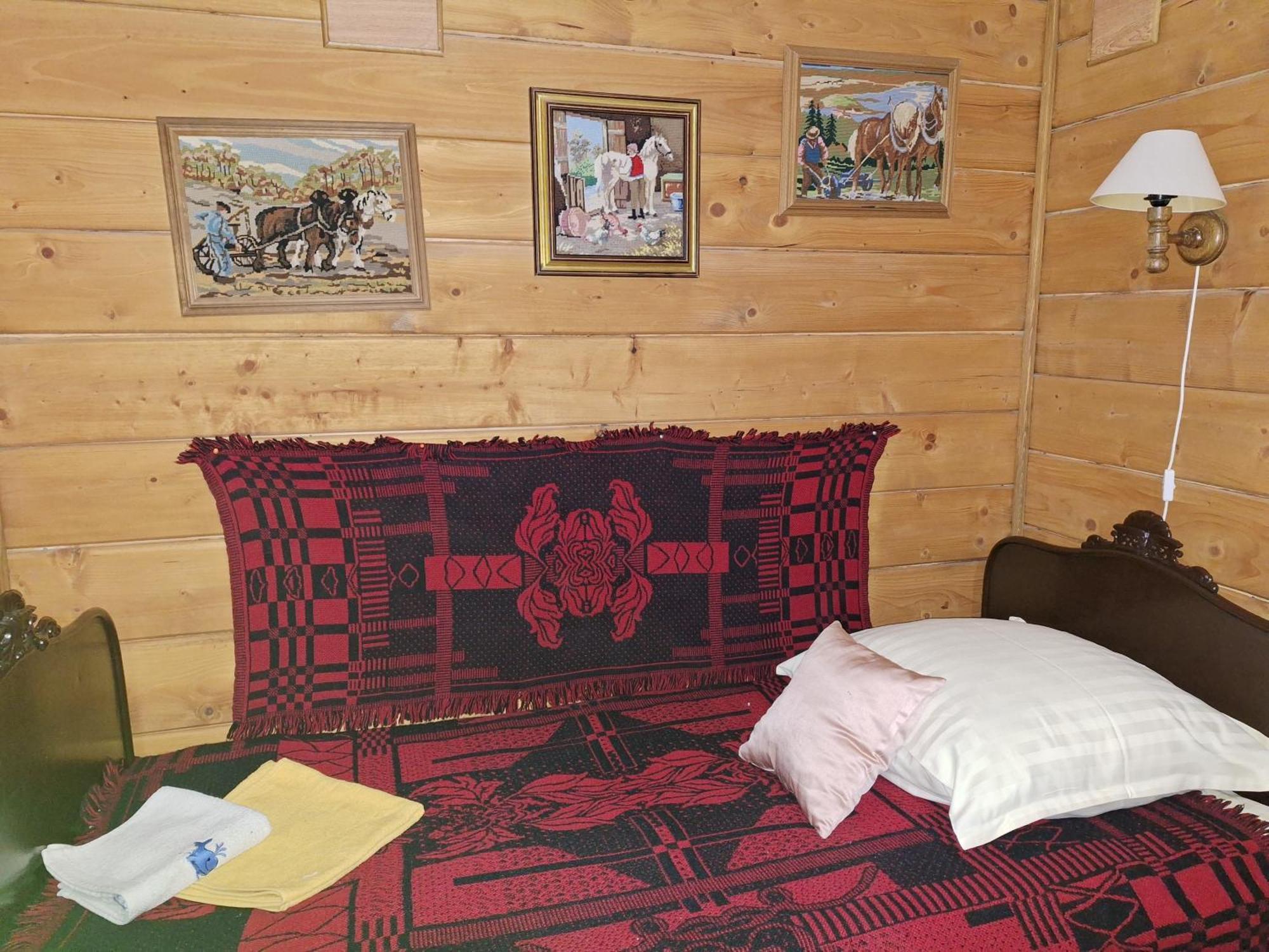 Dom Goscinny Dudek Krynica Zdroj Luaran gambar
