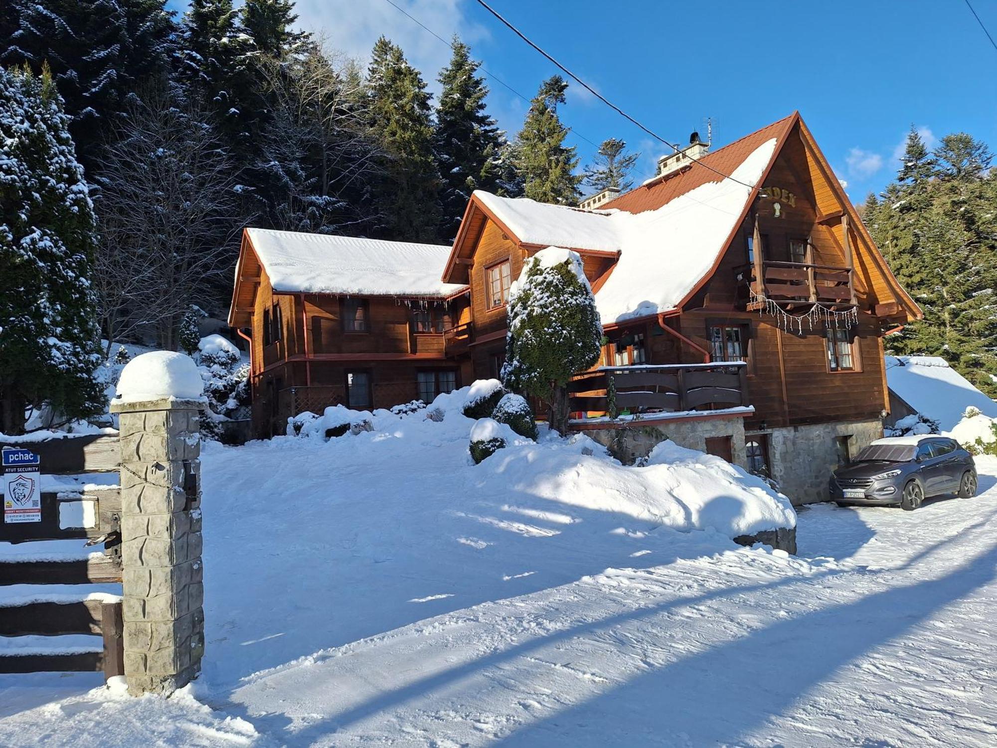 Dom Goscinny Dudek Krynica Zdroj Luaran gambar