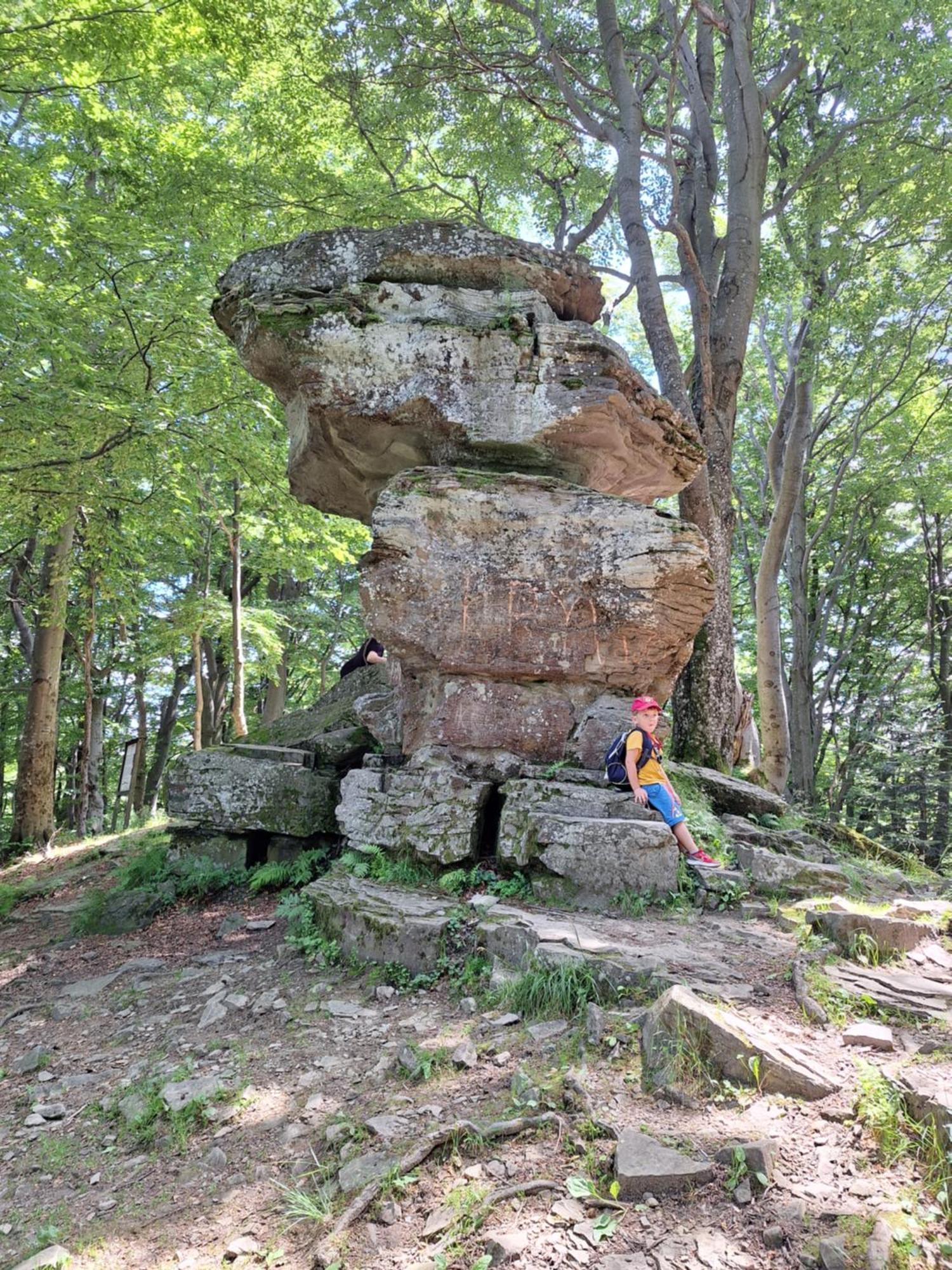 Dom Goscinny Dudek Krynica Zdroj Luaran gambar