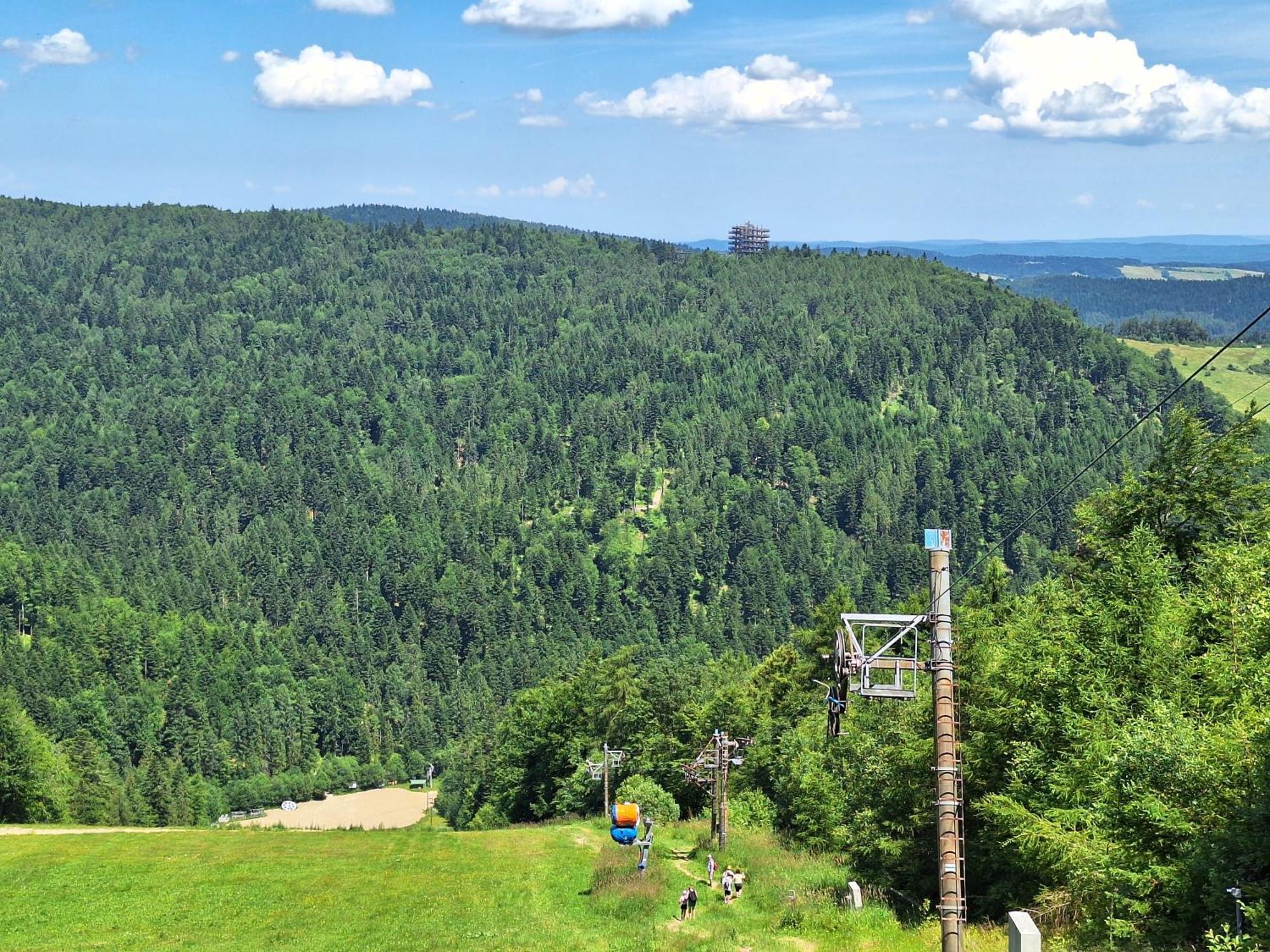 Dom Goscinny Dudek Krynica Zdroj Luaran gambar