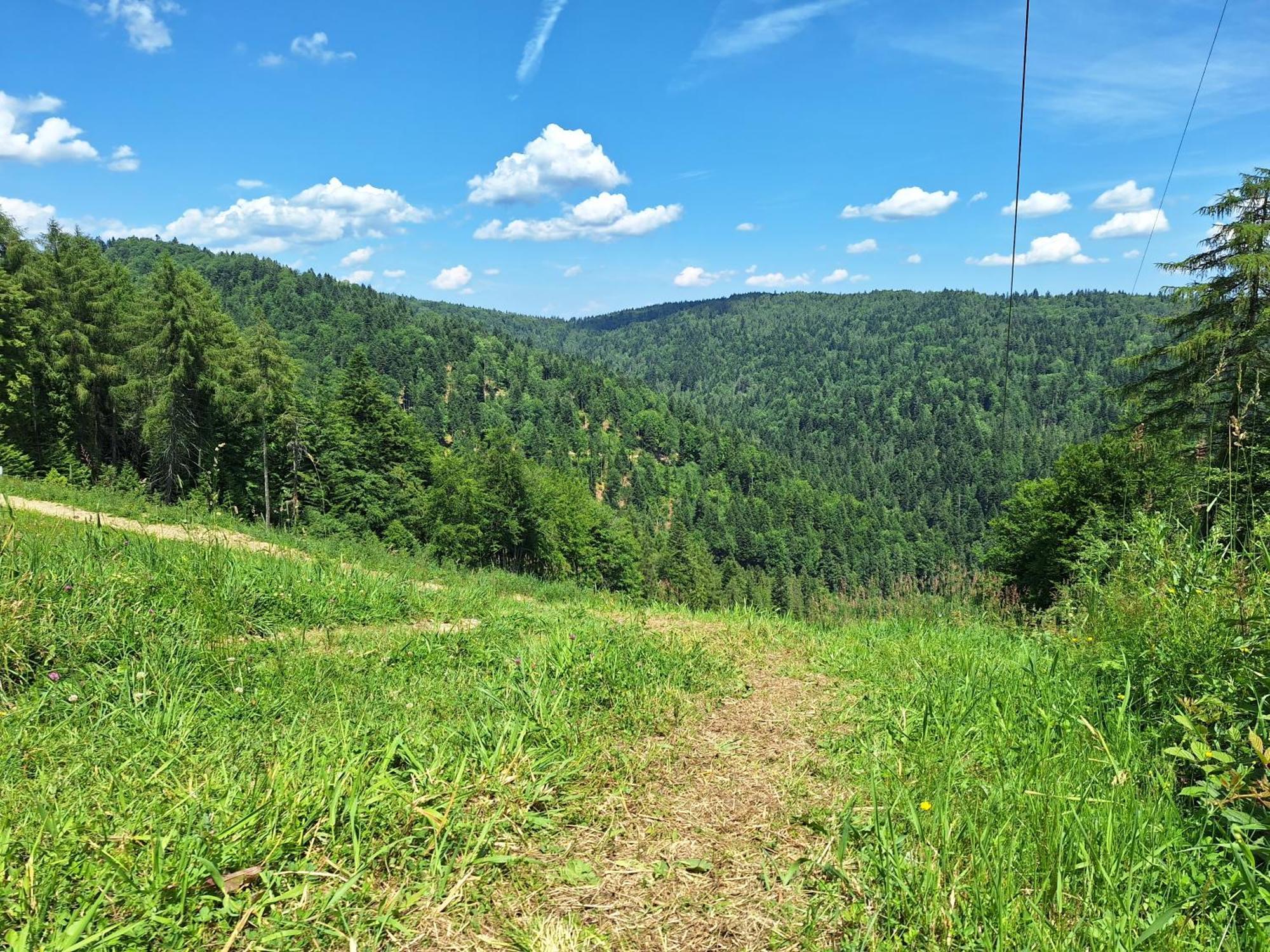 Dom Goscinny Dudek Krynica Zdroj Luaran gambar